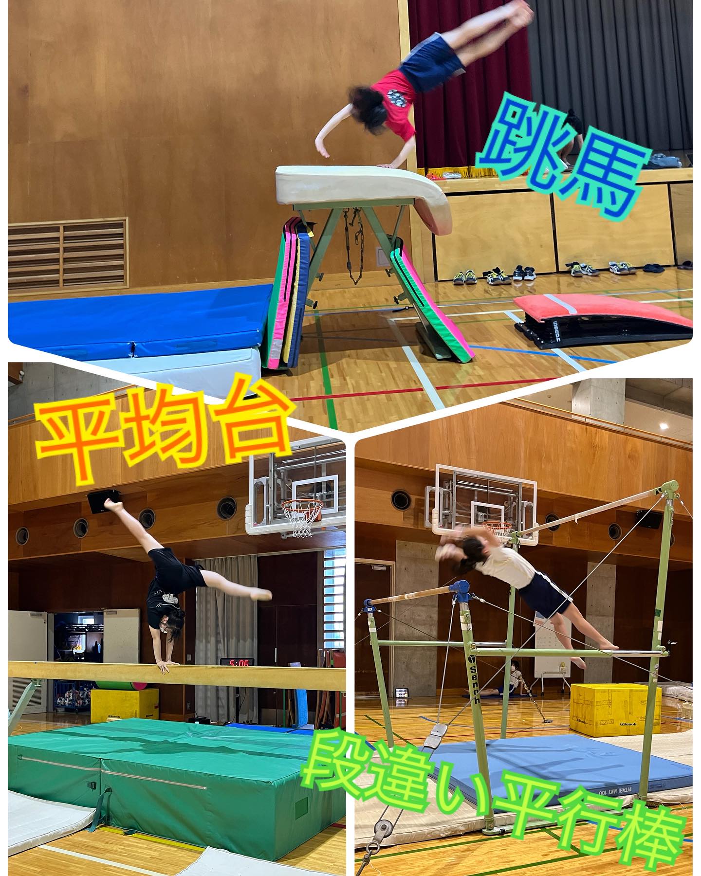 体操部がついに、、、器具を獲得！！！ | 晃華学園中学校高等学校